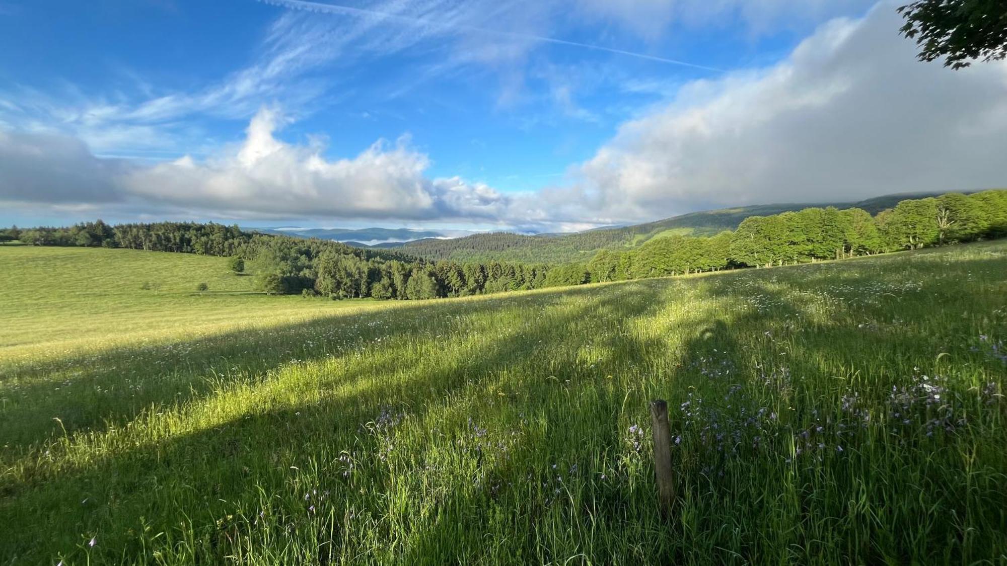Chata Alsovka Medenec Esterno foto